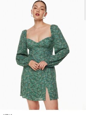Wilfred Novella Green Floral Long Sleeve Mini Dress from Aritzia, Size 6.
